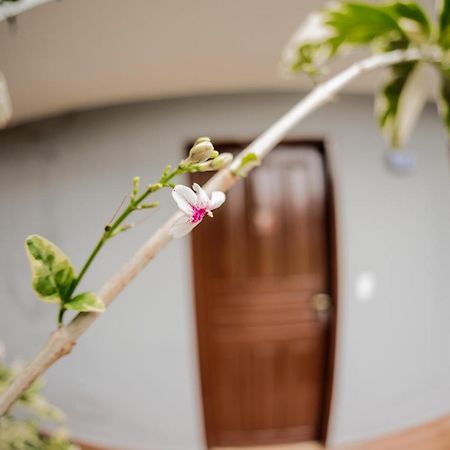 Buziando Pousada Armacao dos Buzios Bagian luar foto